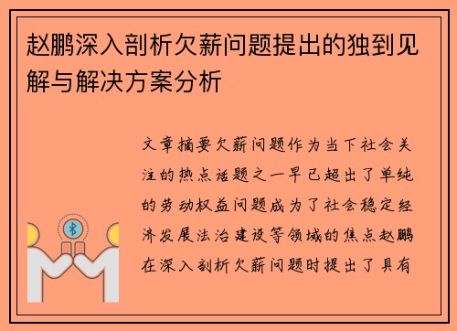 赵鹏深入剖析欠薪问题提出的独到见解与解决方案分析
